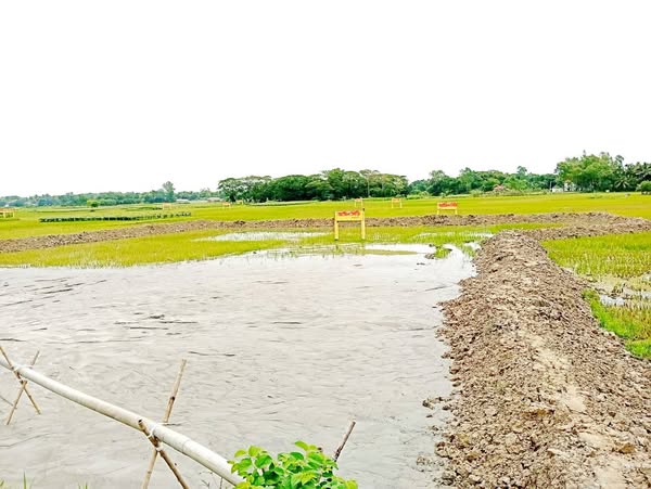 পূর্বাচলে : এত কম দামে প্লট